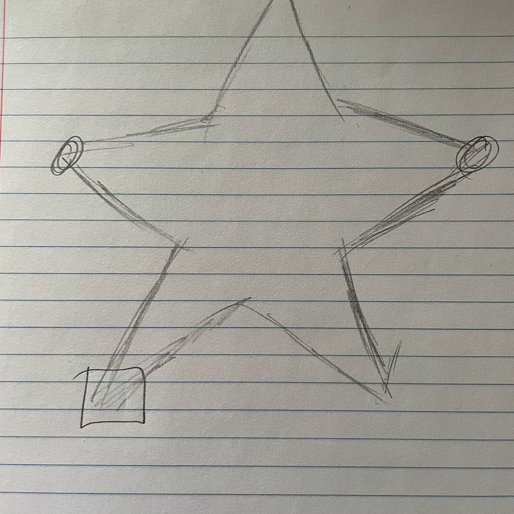 Sketch of the star circuit