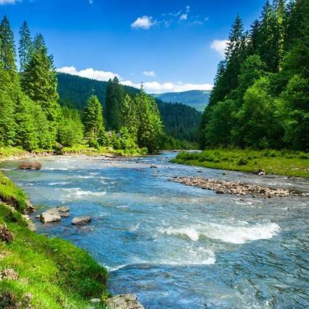 description<br><audio controls src='/audio/river.mp3'></audio>