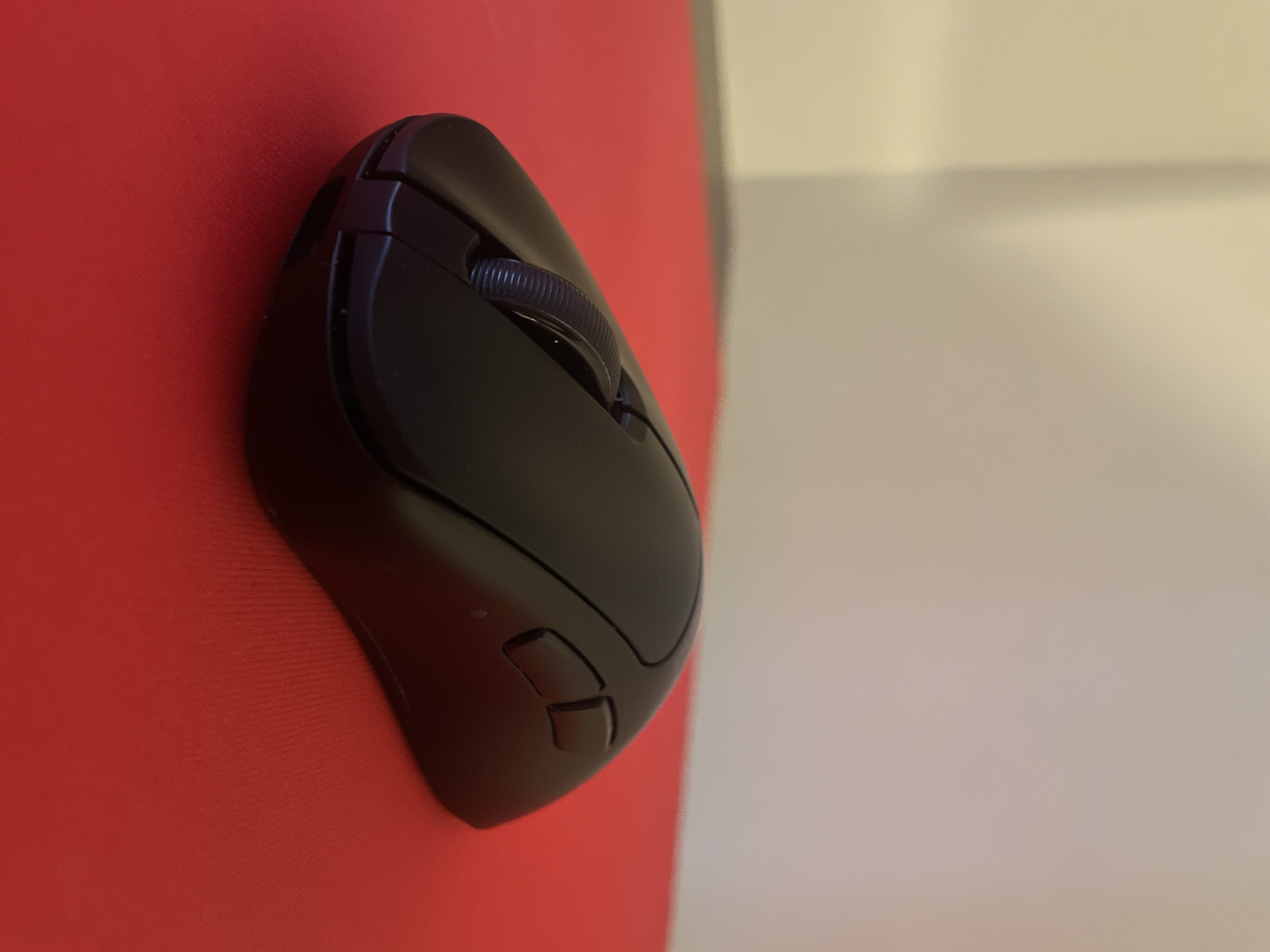 Computer Mouse