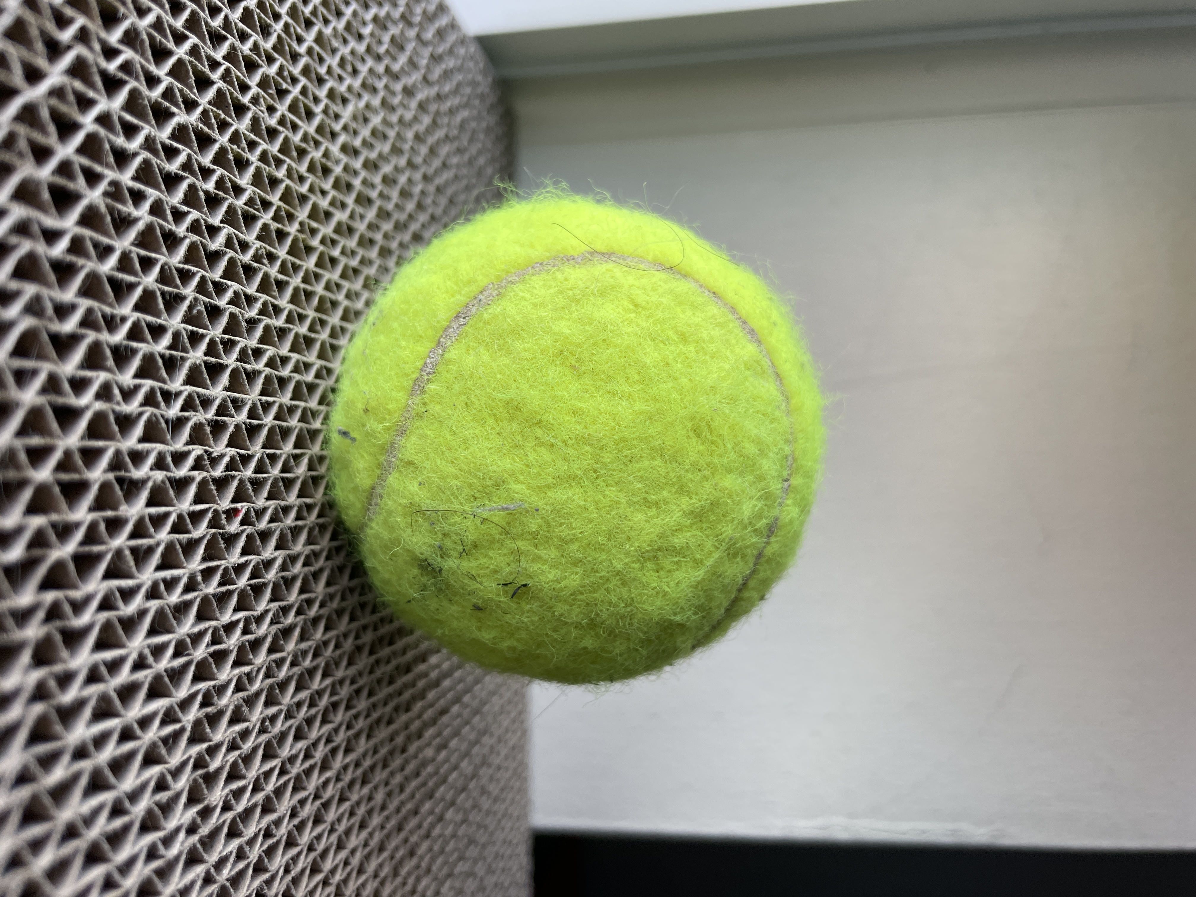 Tennis ball